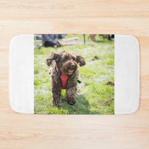 Item preview, Woodside RSPCA dog show, Knighton Park 2023 designed and sold by Woodside-RSPCA.