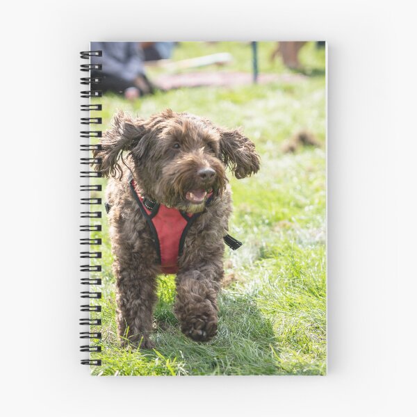 Item preview, Woodside RSPCA dog show, Knighton Park 2023 designed and sold by Woodside-RSPCA.