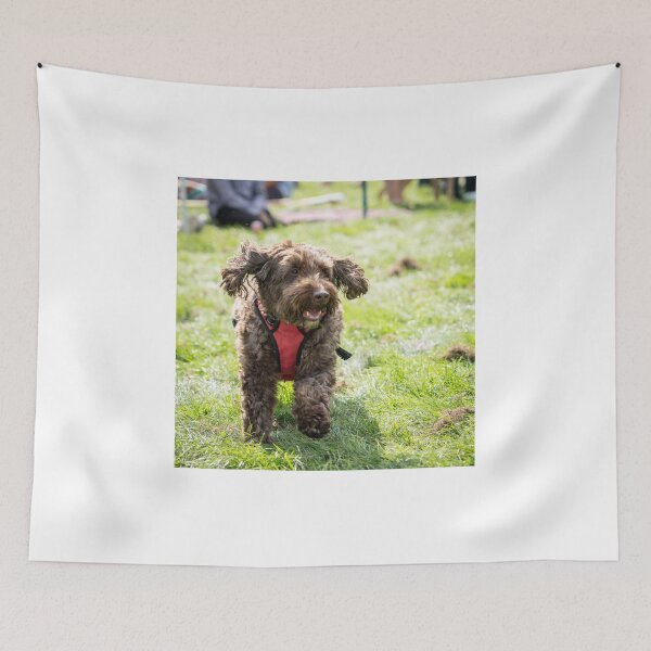 Item preview, Woodside RSPCA dog show, Knighton Park 2023 designed and sold by Woodside-RSPCA.