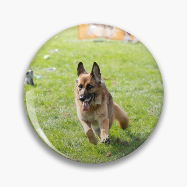 Item preview, Woodside RSPCA dog show, Knighton Park 2023 designed and sold by Woodside-RSPCA.