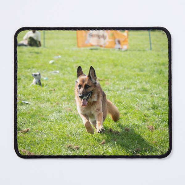 Item preview, Woodside RSPCA dog show, Knighton Park 2023 designed and sold by Woodside-RSPCA.