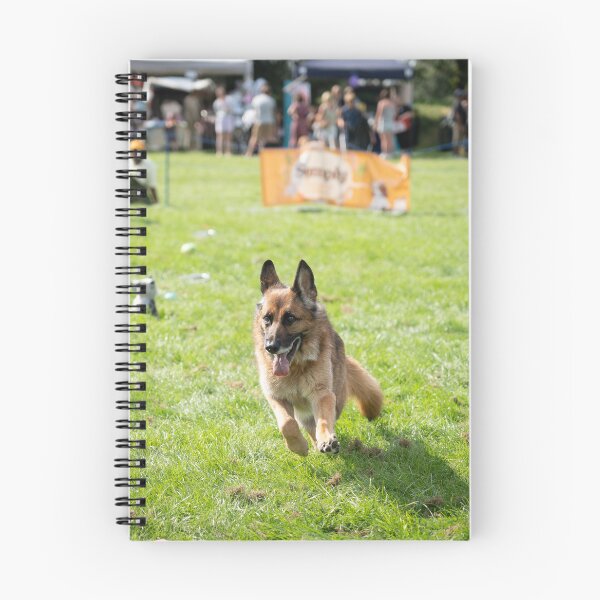 Item preview, Woodside RSPCA dog show, Knighton Park 2023 designed and sold by Woodside-RSPCA.