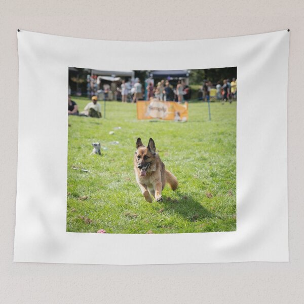Item preview, Woodside RSPCA dog show, Knighton Park 2023 designed and sold by Woodside-RSPCA.