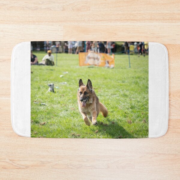 Item preview, Woodside RSPCA dog show, Knighton Park 2023 designed and sold by Woodside-RSPCA.