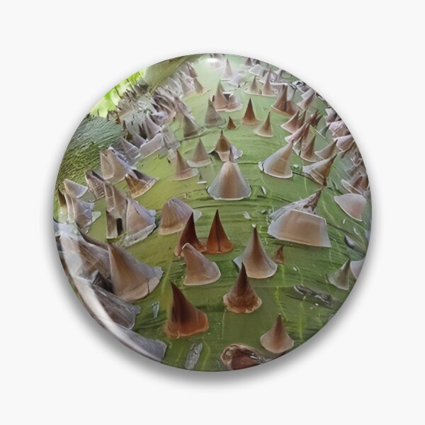 Item preview, This is a photo of a forest kapok tree in Indonesia's tropical forests designed and sold by Irwan23.