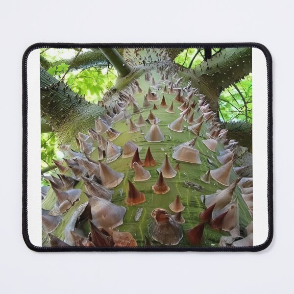 Item preview, This is a photo of a forest kapok tree in Indonesia's tropical forests designed and sold by Irwan23.