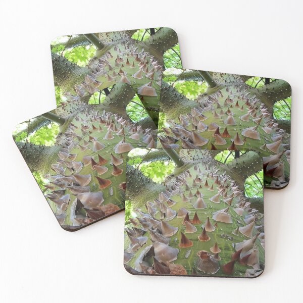 Item preview, This is a photo of a forest kapok tree in Indonesia's tropical forests designed and sold by Irwan23.