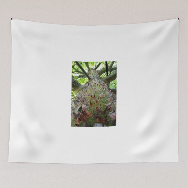 Item preview, This is a photo of a forest kapok tree in Indonesia's tropical forests designed and sold by Irwan23.