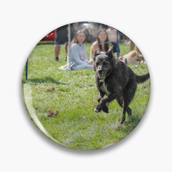 Item preview, Woodside RSPCA dog show, Knighton Park 2023 designed and sold by Woodside-RSPCA.