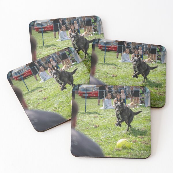 Item preview, Woodside RSPCA dog show, Knighton Park 2023 designed and sold by Woodside-RSPCA.