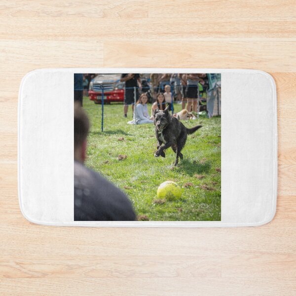 Item preview, Woodside RSPCA dog show, Knighton Park 2023 designed and sold by Woodside-RSPCA.