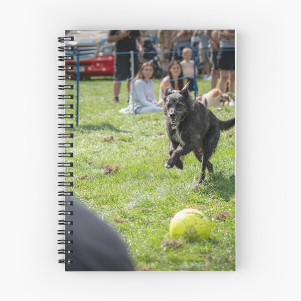 Item preview, Woodside RSPCA dog show, Knighton Park 2023 designed and sold by Woodside-RSPCA.