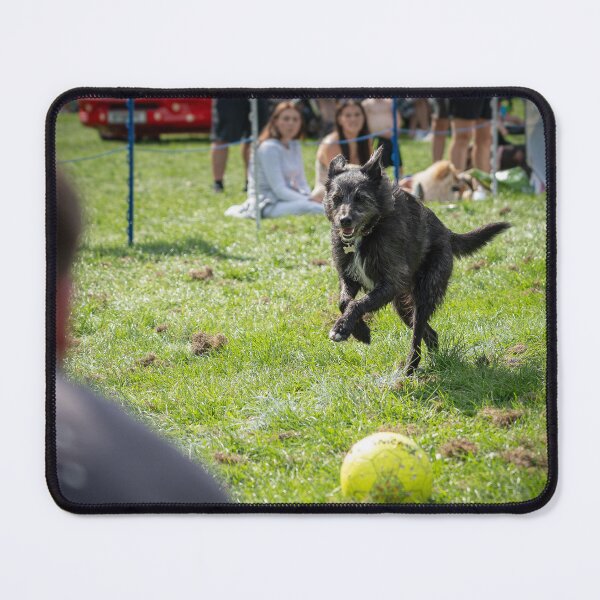 Item preview, Woodside RSPCA dog show, Knighton Park 2023 designed and sold by Woodside-RSPCA.