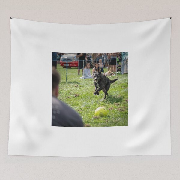 Item preview, Woodside RSPCA dog show, Knighton Park 2023 designed and sold by Woodside-RSPCA.