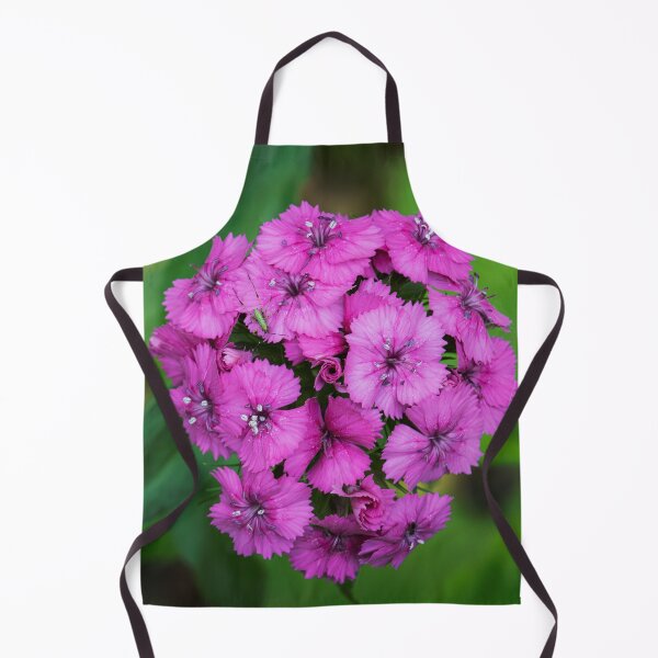 Item preview, Cluster of Sweet Williams designed and sold by Tim Dusenberry.