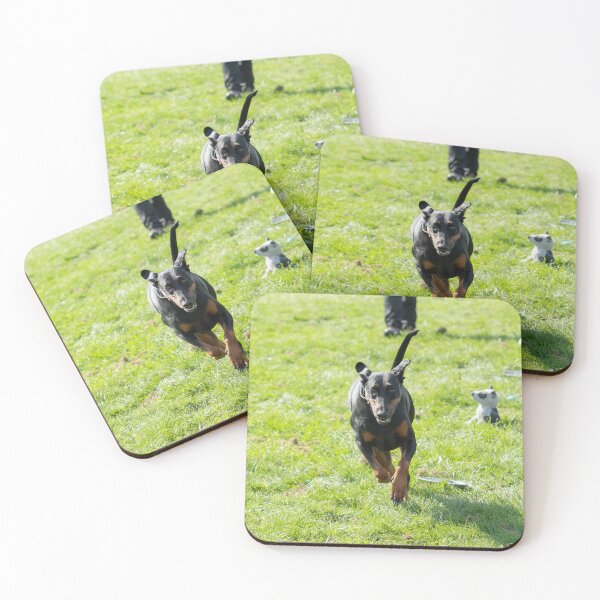 Item preview, Woodside RSPCA dog show, Knighton Park 2023 designed and sold by Woodside-RSPCA.