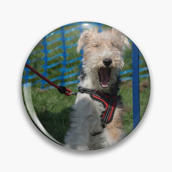 Item preview, Woodside RSPCA dog show, Knighton Park 2023 designed and sold by Woodside-RSPCA.