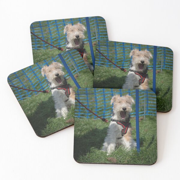 Item preview, Woodside RSPCA dog show, Knighton Park 2023 designed and sold by Woodside-RSPCA.