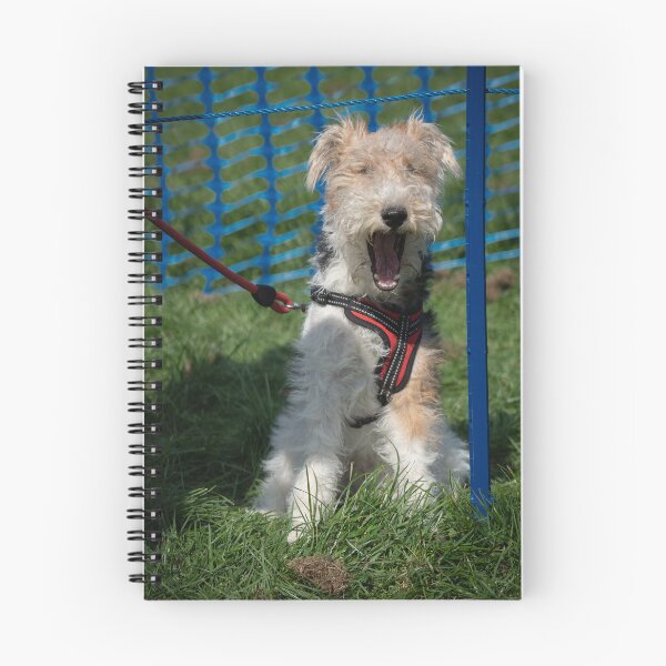 Item preview, Woodside RSPCA dog show, Knighton Park 2023 designed and sold by Woodside-RSPCA.