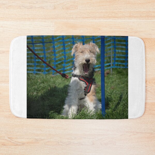 Item preview, Woodside RSPCA dog show, Knighton Park 2023 designed and sold by Woodside-RSPCA.