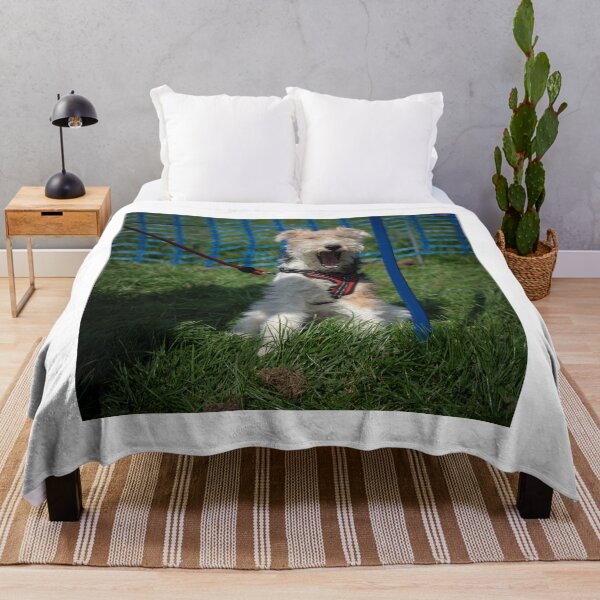Item preview, Woodside RSPCA dog show, Knighton Park 2023 designed and sold by Woodside-RSPCA.