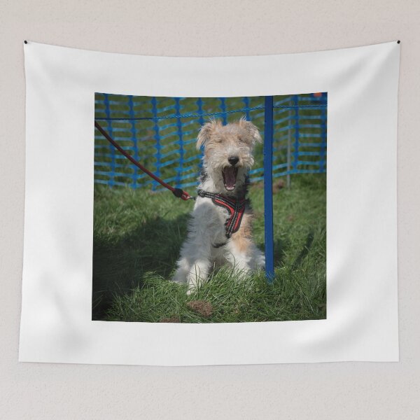 Item preview, Woodside RSPCA dog show, Knighton Park 2023 designed and sold by Woodside-RSPCA.