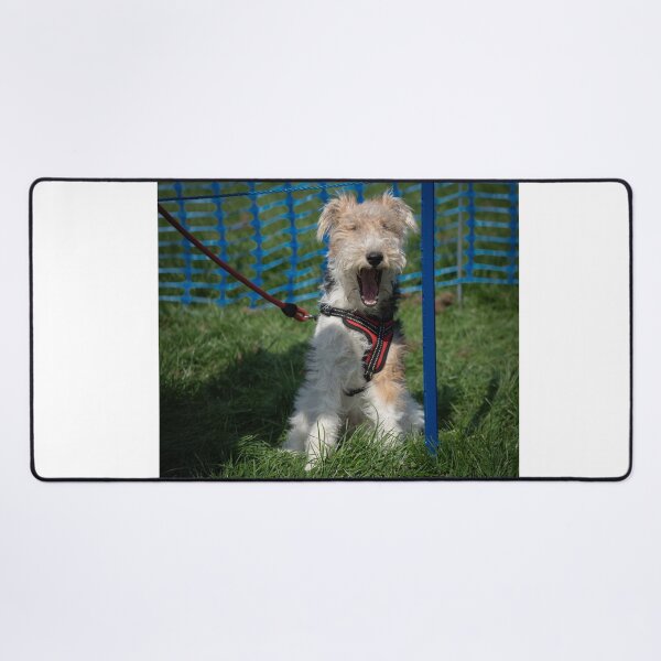 Item preview, Woodside RSPCA dog show, Knighton Park 2023 designed and sold by Woodside-RSPCA.