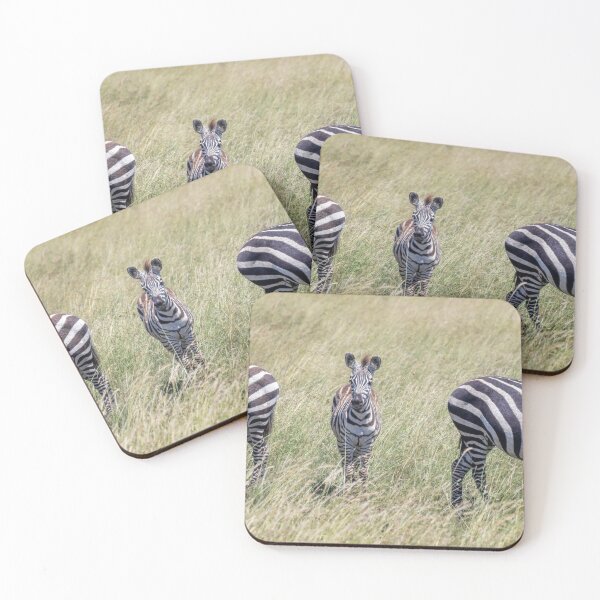 Item preview, Three Striped Amigos Tanzania Africa designed and sold by PhotoArt by Joan Carroll.