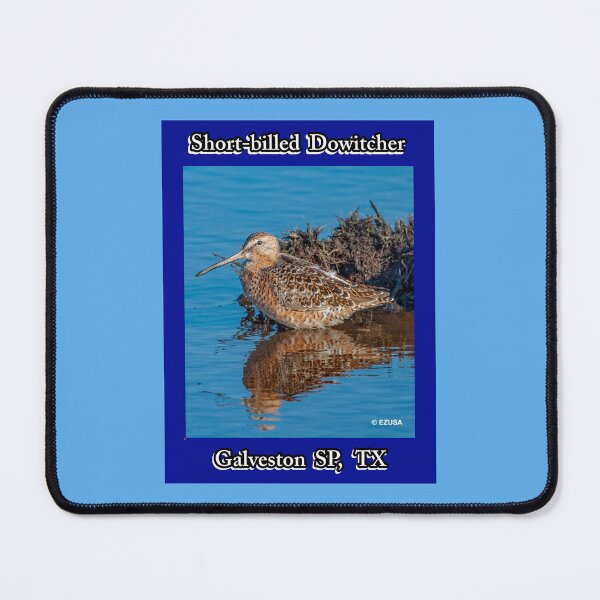 Item preview, For The Bird Lover In You: Short-billed Dowitcher, Galveston State Park, Galveston, Texas. designed and sold by MoreEZUSA-Here.