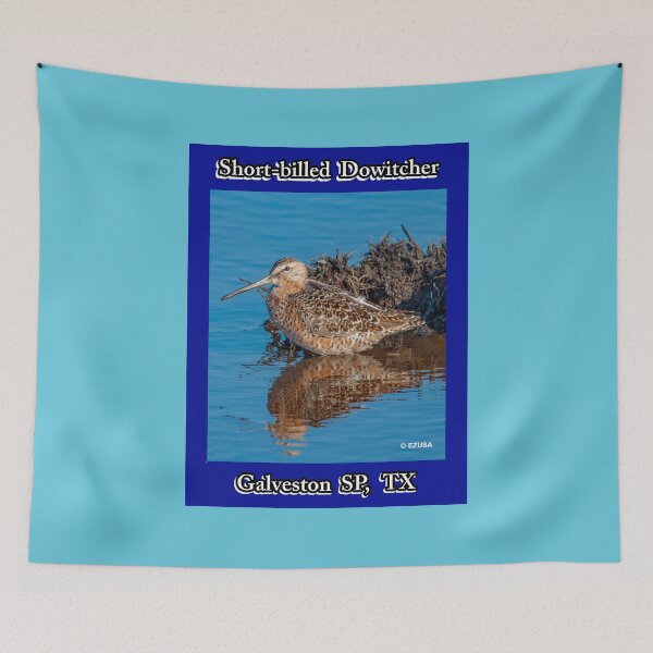 Item preview, For The Bird Lover In You: Short-billed Dowitcher, Galveston State Park, Galveston, Texas. designed and sold by MoreEZUSA-Here.