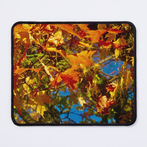 Item preview, Fall leaves abstract designed and sold by Shulie1.