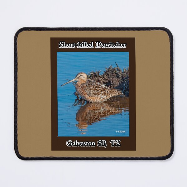 Item preview, Give The Bird To Your Lover: Short-billed Dowitcher, Galveston Island State Park, Galveston, Texas. designed and sold by MoreEZUSA-Here.