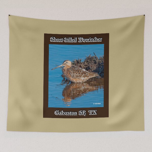 Item preview, Give The Bird To Your Lover: Short-billed Dowitcher, Galveston Island State Park, Galveston, Texas. designed and sold by MoreEZUSA-Here.