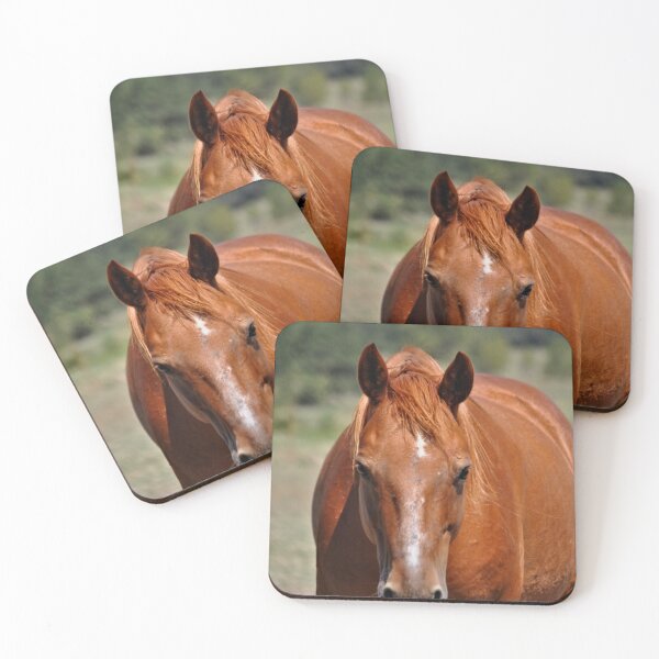 Item preview, Bernie designed and sold by Kristen O'Brian.