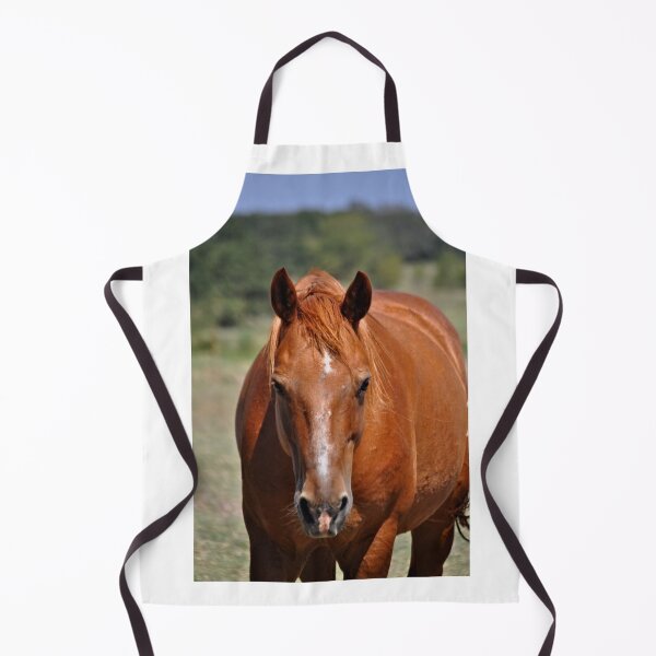 Item preview, Bernie designed and sold by Kristen O'Brian.