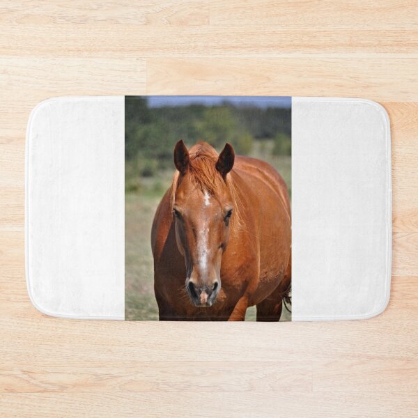Item preview, Bernie designed and sold by Kristen O'Brian.