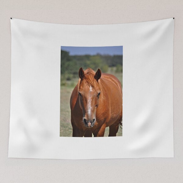 Item preview, Bernie designed and sold by Kristen O'Brian.