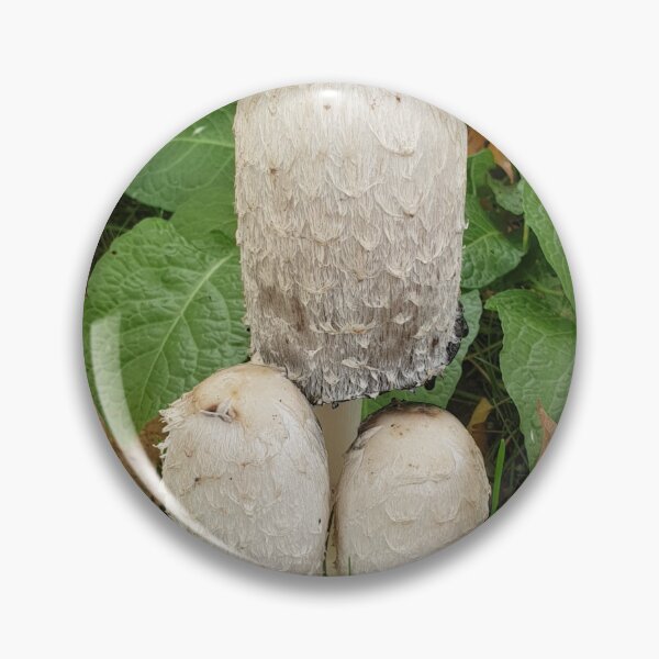 Item preview, Funny Mushrooms, mushroom picking designed and sold by Sunmoonlove.