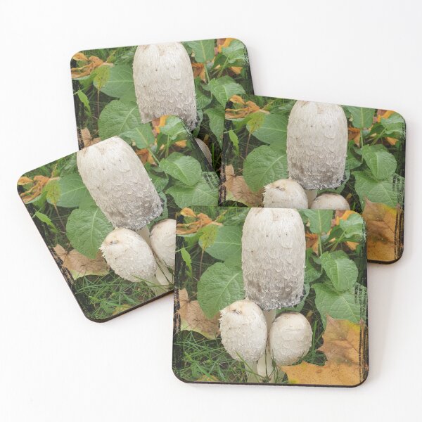 Item preview, Funny Mushrooms, mushroom picking designed and sold by Sunmoonlove.