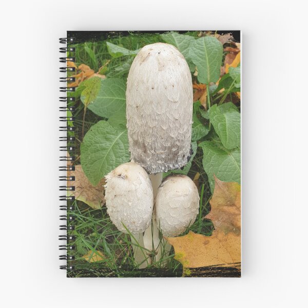 Item preview, Funny Mushrooms, mushroom picking designed and sold by Sunmoonlove.