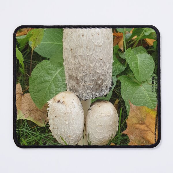 Item preview, Funny Mushrooms, mushroom picking designed and sold by Sunmoonlove.