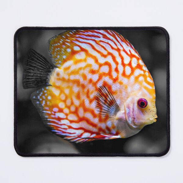 Item preview, Orange Fish designed and sold by PatternTitan.