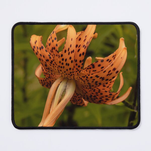 Item preview, Reaching Out designed and sold by Tim Dusenberry.
