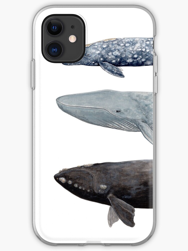 Whale iPhone 11 case Whale iPhone 11 case
