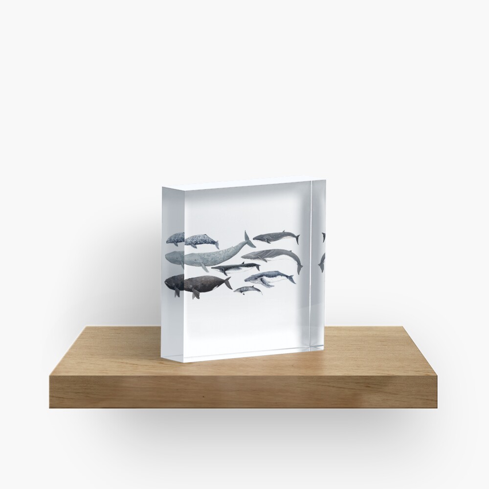Whales and right whale Acrylic Block