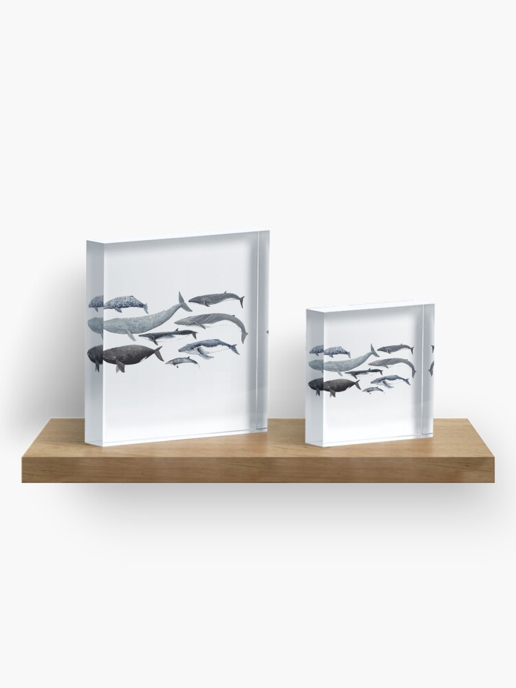 Alternate view of Whales and right whale Acrylic Block