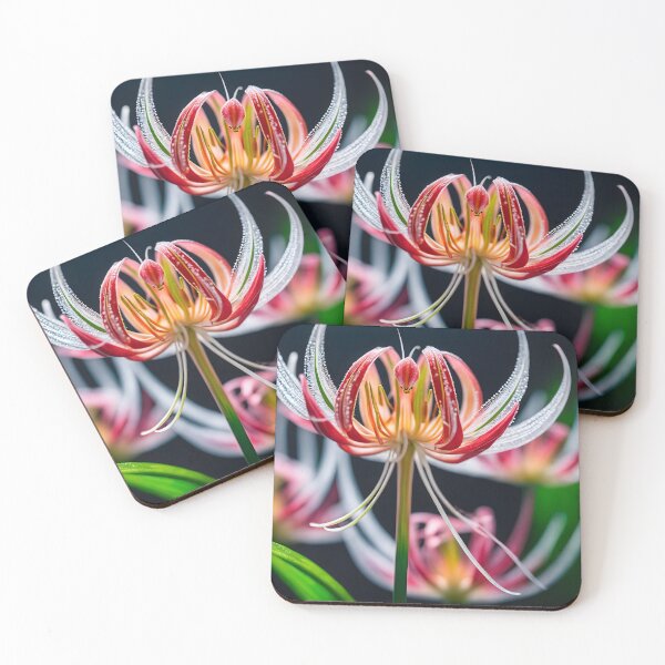 Item preview, Spider Lily designed and sold by CraftyUniverse.