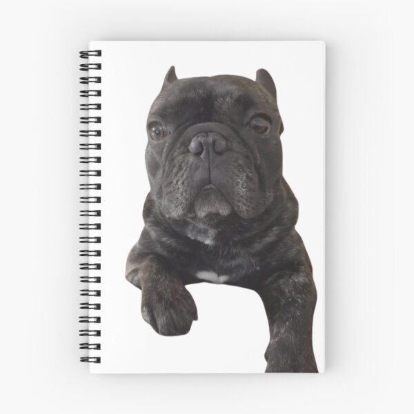 Item preview, BEAUTIFUL BLACK FRENCH BULLDOG designed and sold by Erikasinhag.