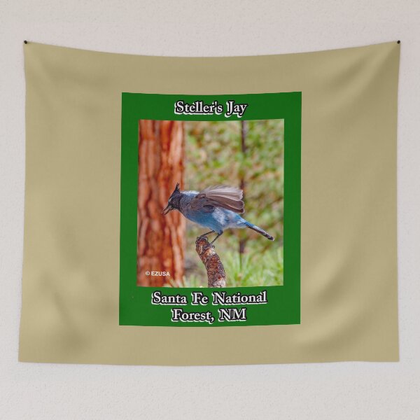 Item preview, Give Someone You Love The Bird: Steller's Jay, Santa Fe National Forest, New Mexico. designed and sold by MoreEZUSA-Here.
