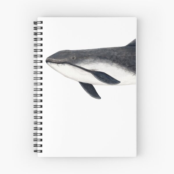 Item preview, Harbour porpoise  designed and sold by chloeyzoard.